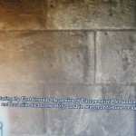 DSC07024